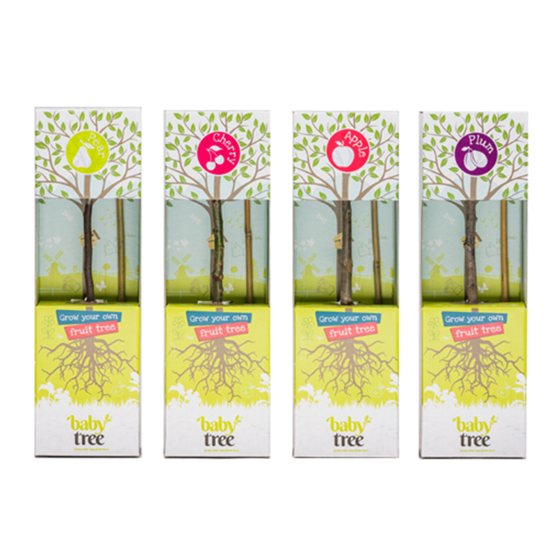 Baby Tree | Fruit | Eco promotional gift